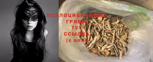 молекула духа Пролетарск